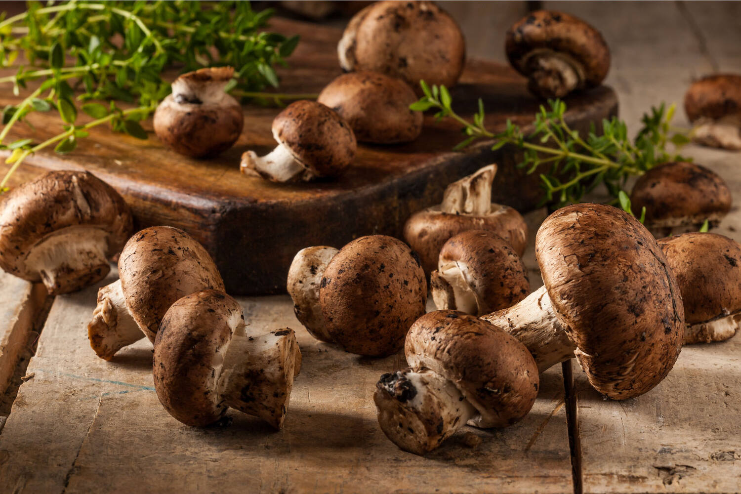 Portobello los kist 2 kilogram